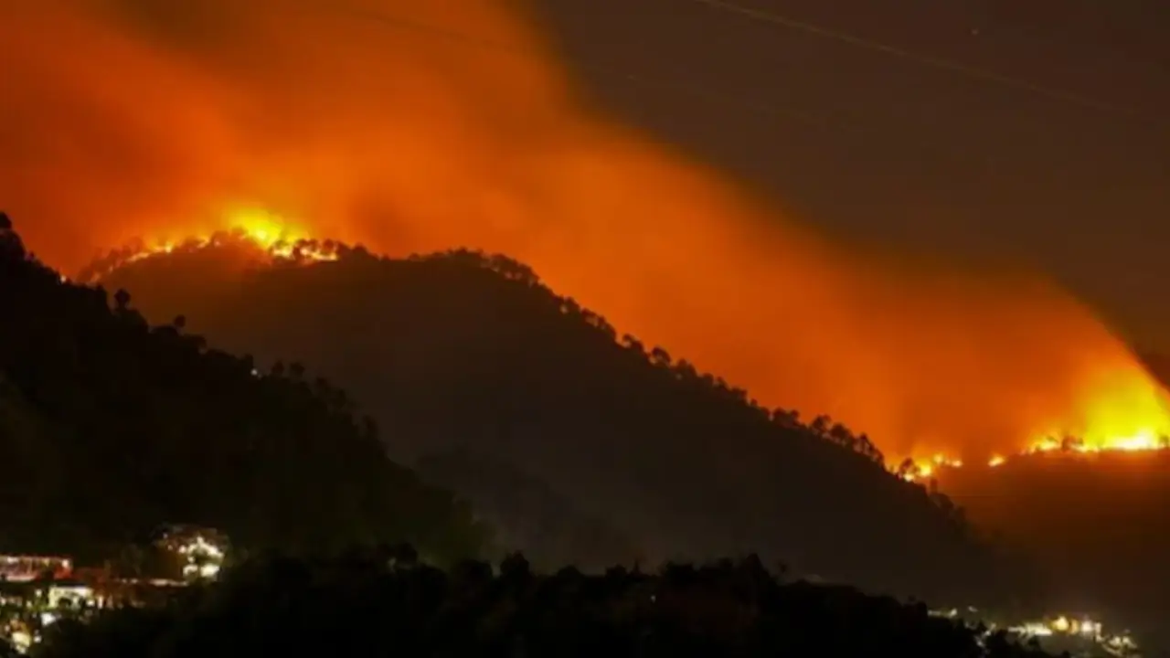 The Himalayan Forest May Know a Wildfire Is Coming Before We Do.